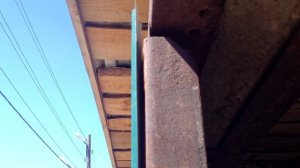 Hannibal FX 38 + kicx 1.900