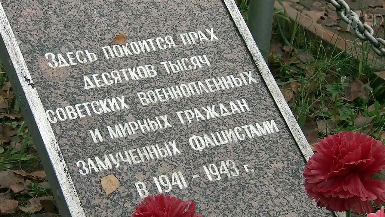 В Новгородской области поисковики обнаружили массовые захоронения времен Великой Отечественной войны