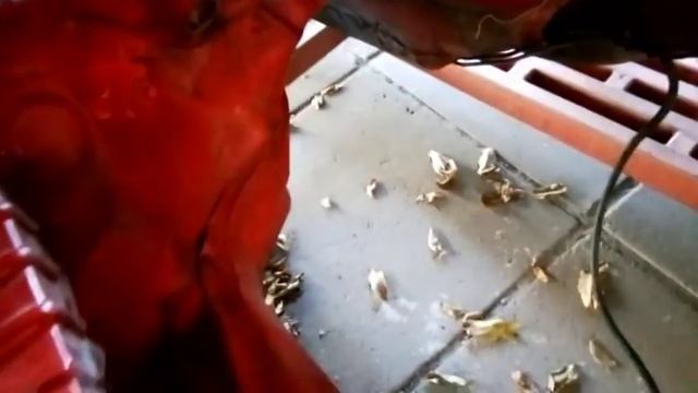 BMW Е-36. ч.I Распятие .замена порогов , днища,крыши и пр #BodyrepairBMW.#BMW Karosseriereparatur смотреть онлайн