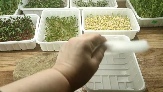 Микрозелень Коврики для боксов смотреть онлайн