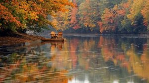 Сергей Дворцевой - Это просто осень