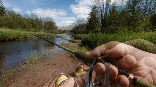 Ловля Хариуса на спиннинг на речке. Давно я не ловил эту рыбу! р. Песь, Новгородская обл. смотреть онлайн