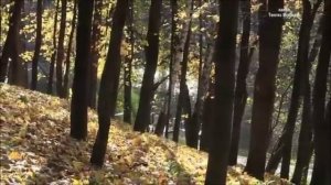 Павел КАШИН - Над осеннею Москвой