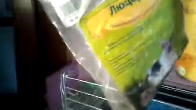 Корма для морской свинки. смотреть онлайн