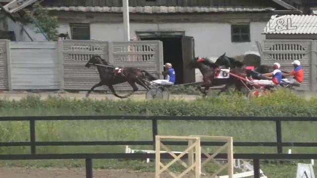 Бега-Заезд 4-х лет. Абакан 29.07.2017 смотреть онлайн