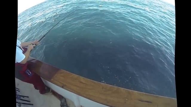 rock fish flick1 смотреть онлайн