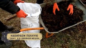 Как мы копаем семьи червей на продажу