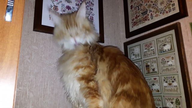 Семплерная прихожая ;) смотреть онлайн