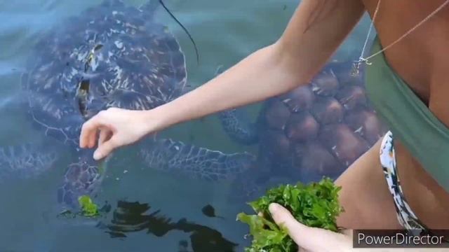 20 января 2021 г. смотреть онлайн