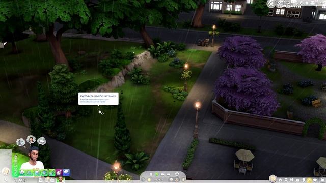"Моя пекарня" ? | Безумец и молния | The sims 4