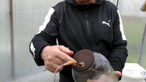 Автоматическая форточка для проветривания теплицы  / форточка-автомат.