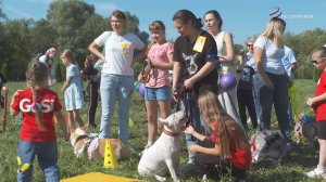 В Серпухове прошёл фестиваль "Я и моя собака"