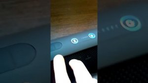 Скрытая функция колонки JBL FLIP 4