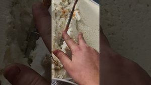 ремонт холодильника Gorenje