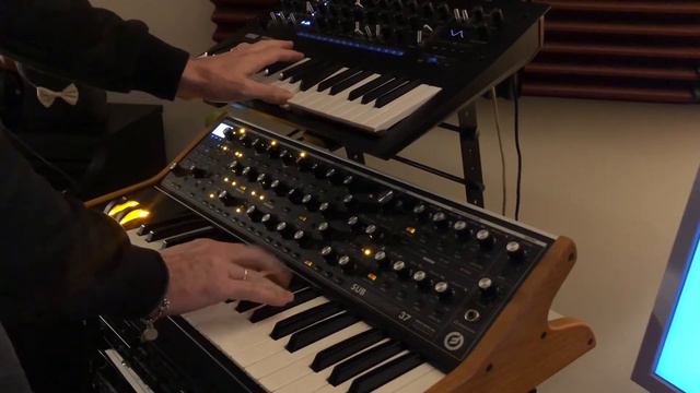 Moog Subsequent 37 on Korg Minilogue XD смотреть онлайн