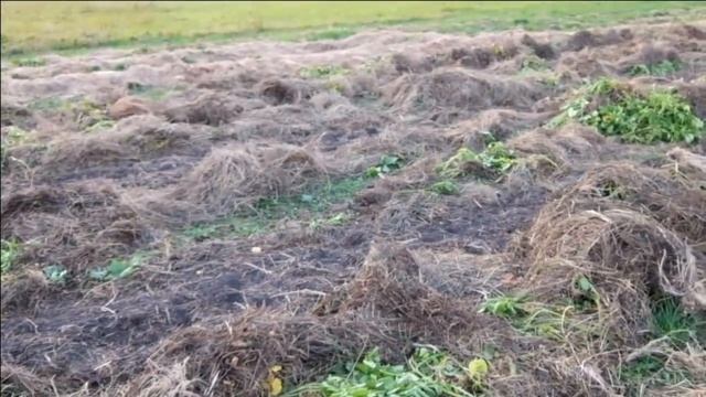 --ЛАБУТЭНЫ и МЕГА УРОЖАЙ КАРТОФЕЛЯ !!! -- смотреть онлайн