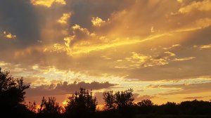 Обзор камеры