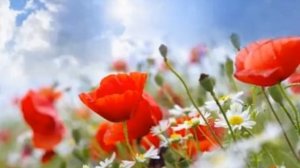 Источник женской силы ►Медитация