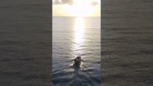 1 глава - Эра Водолея - Омраам Микаэль Айванхов - Водолей и Пришествие золотого века -