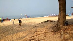 Дорога на пляж Кавелоссим , Индия Гоа