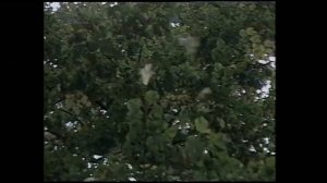 Zmarli: Magda Teresa Wójcik, Edward Żentara, Andrzej Butruk, Andrzej Piszczatowski