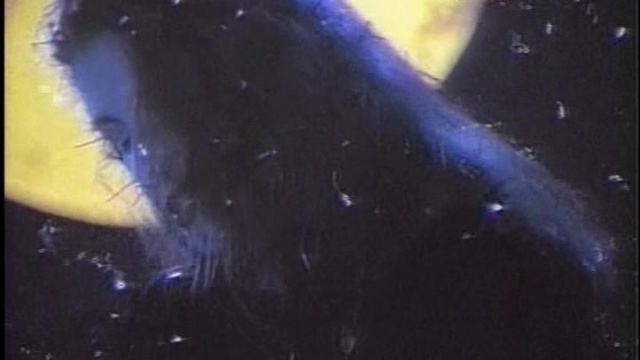 t5yyuu (Baseclips.ru смотреть онлайн