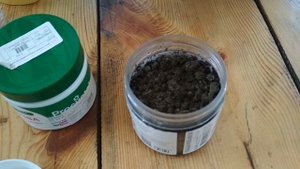 Как Спитый КОФЕ? В Саду и Огороде ЭКОНОМИТЬ Помогает и ? Растения Защищает