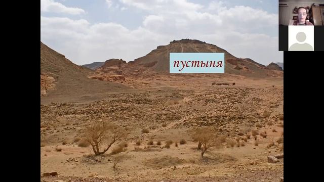 Лекция по лишайникам