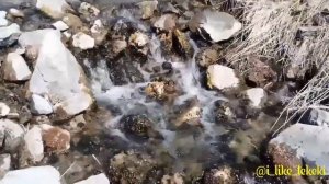 ТЕКЕЛИ. ЧАЖИ ПО ДОРОГЕ В УЩЕЛЬЕ