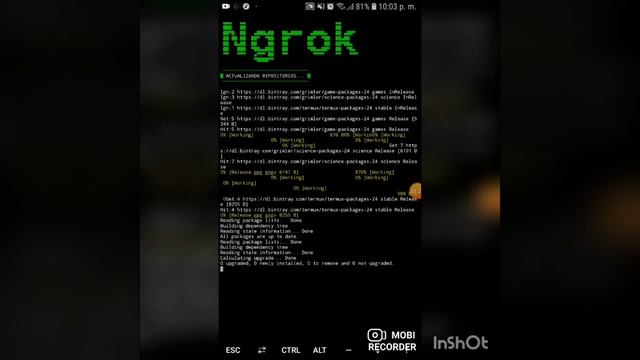 Instalar ngrok ya que el metodo que tenia pensado no sirve смотреть онлайн