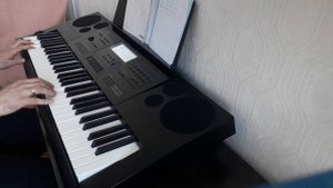 CASIO СТК - 6200 . Сектор газа.Колхозный панк.