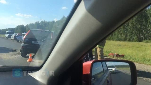 Дачники не доехали до дома! СТРАШНАЯ АВАРИЯ НА ТРАССЕ ЧЕЛЯБИНСК-АРГАЯШ смотреть онлайн