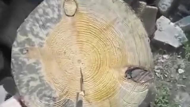 Как избавиться от плесени на деревянной поверхности смотреть онлайн