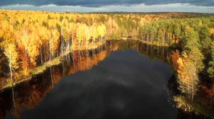 Красивое лесное озеро #смотреть в наушниках #3Dмузыка