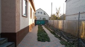 Натаска легавой - Стойка в 2 месяца - Тренировка стойки - Дрессировка щенка