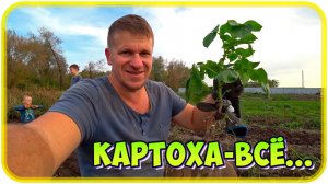 Деревенские будни / Выбрали момент / Убрал быка