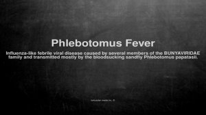 Medical vocabulary: What does Phlebotomus Fever mean