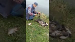 пруд Сухой 2 Пензенская обл 2