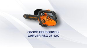 Два сезона спустя. Обзор бензопилы Carver RSG25-12K. Часть-3.