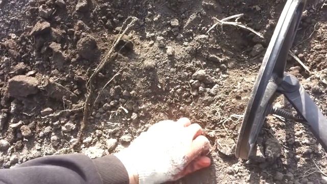 Коп монет на огороде.Чёртова дюжина! В Поисках Клада в Сибири! смотреть онлайн