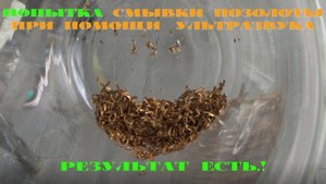 Смывка Позолоты Ультразвуком!