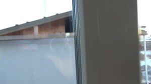 Пластиковые окна в Иркутске  Деметра  Отзыв  Мой опыт