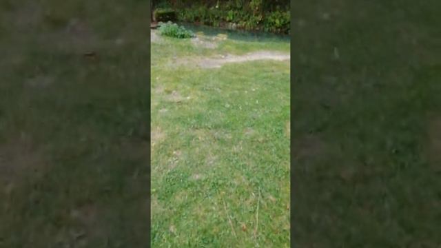 Другая Абхазия, день 7, Чёрная река, форелевое хозяйство и скальный монастырь. смотреть онлайн