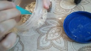 Жук-знахарь для муравьев. Трудно ли их разводить