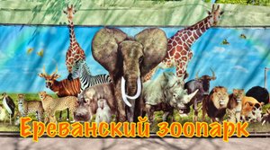 Армения День 6 Ереванский зоопарк