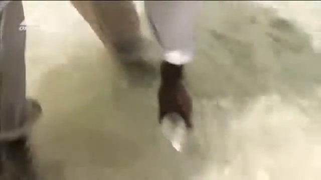 Морская рыбалка альбулу на Багамах