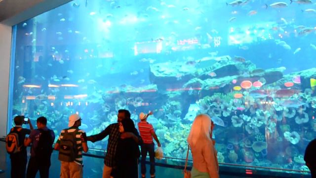 Океанариум в Дубае смотреть онлайн