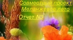 СП Меланжевое лето. Отчет 3. #меланжевоелето