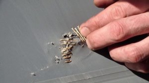 Штопает дырку на новенькой шкурке