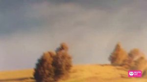 Как очистить обои  Моющиеся фотообои  Белый кот